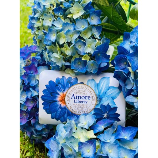 AMORE Nesti Dante 170g.